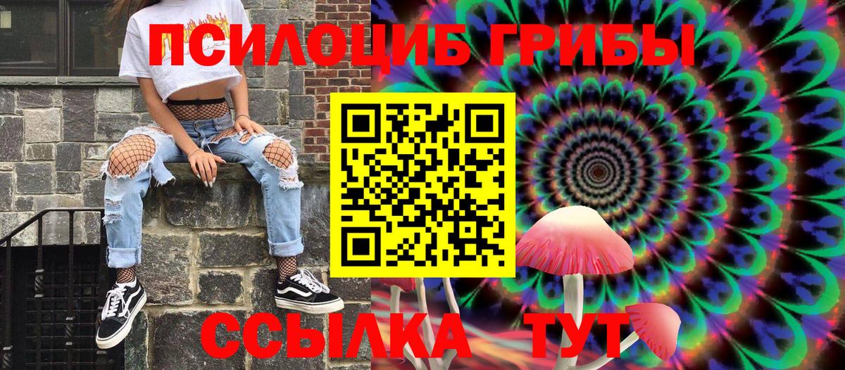 Псилоцибиновые грибы Cubensis Славгород
