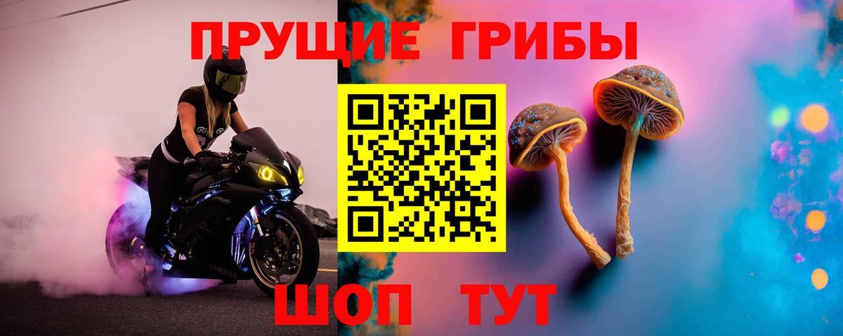 Галлюциногенные грибы мицелий  Славгород 