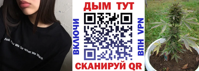 где купить наркоту  Славгород  Конопля тримм 